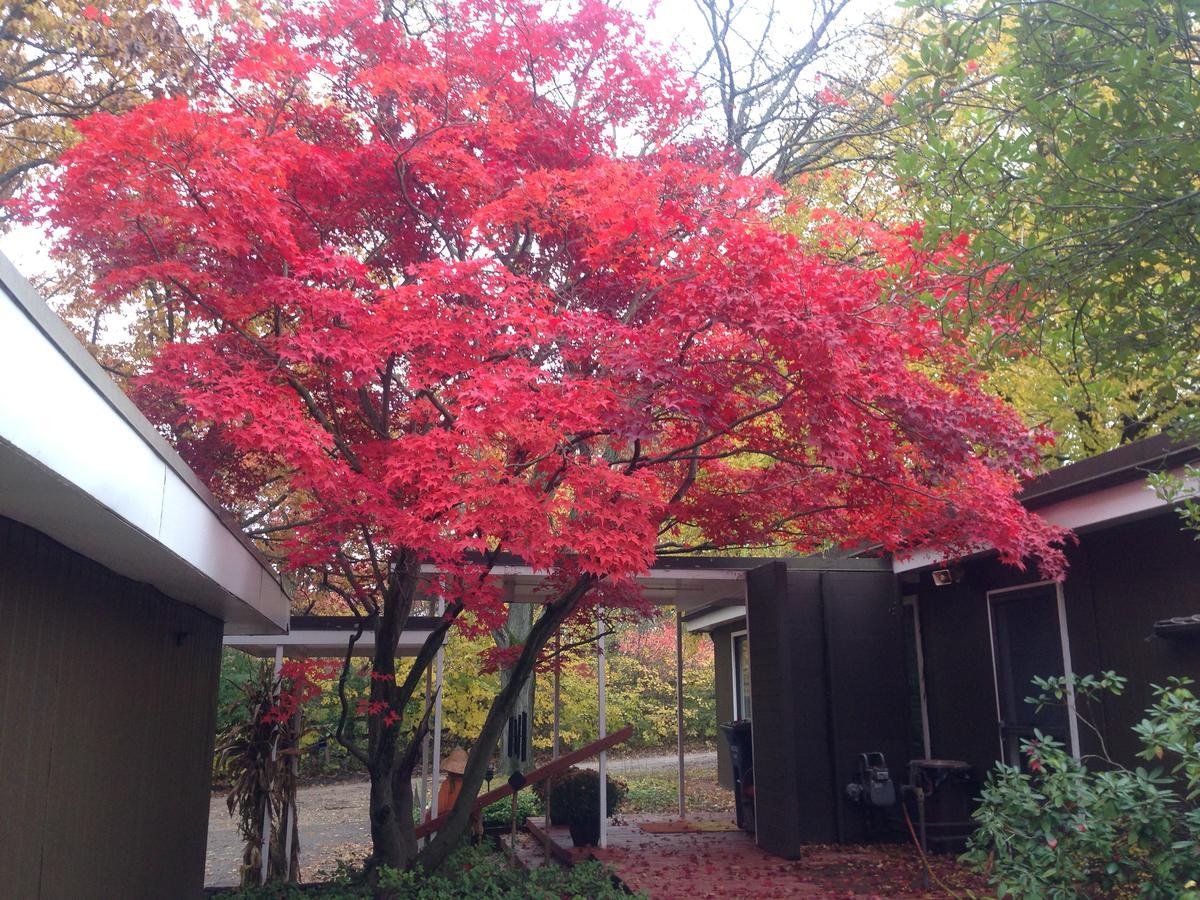 Huron River Guest House Ann Arbor Exterior foto